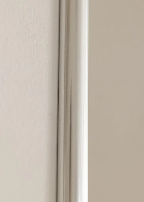 Ram Galeria Glas Silver 50x100 cm