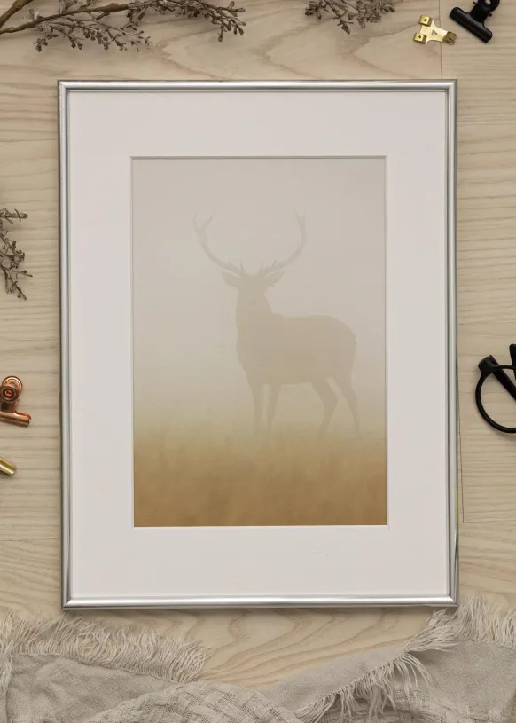 Ram Galeria Glas Silver 50x100 cm