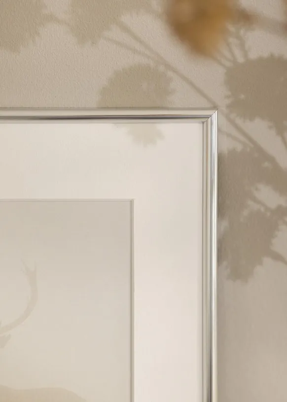 Ram Galeria Glas Silver 70x100 cm