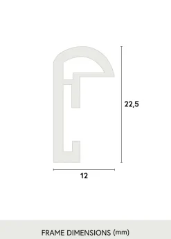 Ram Galeria Glas Silver 70x100 cm