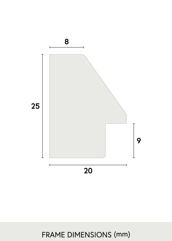 Ram Globe Glas Vit 20x25 cm