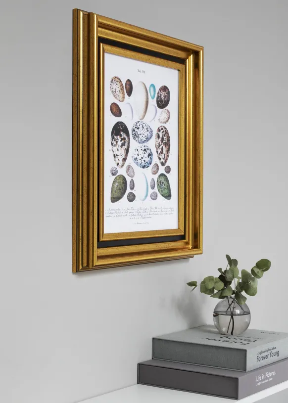 Ram Gysinge Premium Glas Guld 30x40 cm