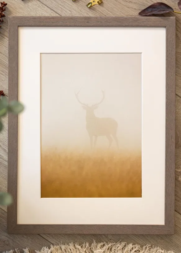 Ram Hermes Grå 45x60 cm - Passepartout Vit 34x48 cm