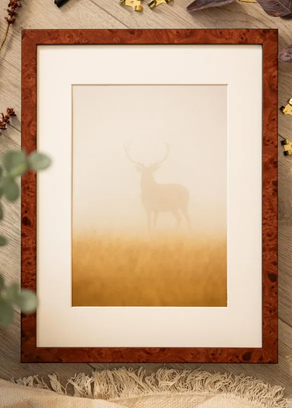 Ram Hermes Valnöt 40x40 cm - Passepartout Vit 29x29 cm