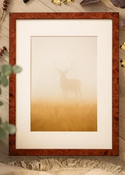 Ram Hermes Valnöt 30x40 cm - Passepartout Vit 22x32 cm