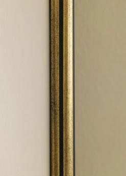 Ram Horndal Guld 12x12 cm