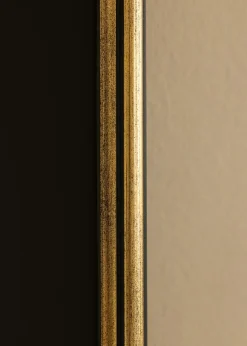 Ram Horndal Guld 30x40 cm - Passepartout Svart 21x29,7 cm (A4)