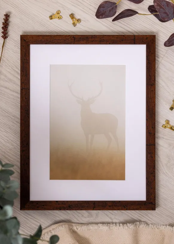 Ram Humphrey Brun 40x60 cm - Passepartout Vit 30x50 cm