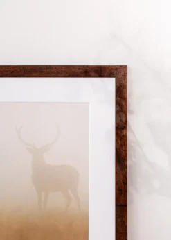 Ram Humphrey Brun 70x100 cm - Passepartout Vit 62x85 cm