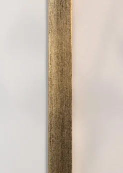 Ram Jämtland Guld 16x22 cm