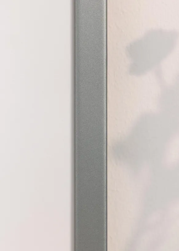 Ram Lofsdalen Silver 60x80 cm