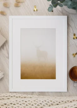 Ram Lofsdalen Vit 60x80 cm