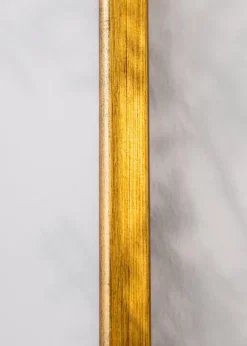 Ram Marisa Guld 40x50 cm