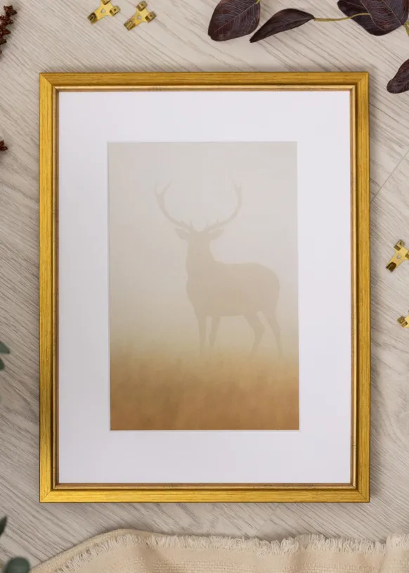 Ram Marisa Guld 20x30 cm