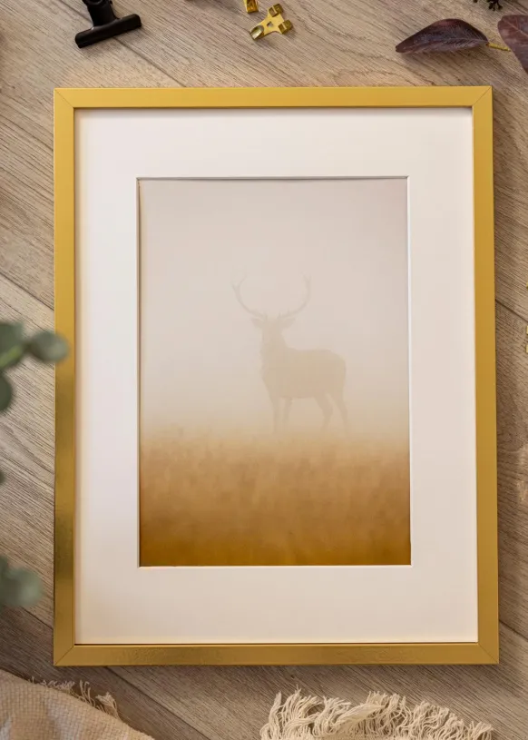Ram Minerva Guld 30x30 cm