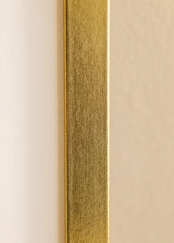 Ram Minerva Guld 24x30 cm - Passepartout Vit 6x8 inches