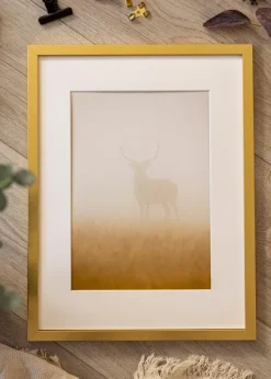 Ram Minerva Guld 50x70 cm - Passepartout Vit 40x60 cm