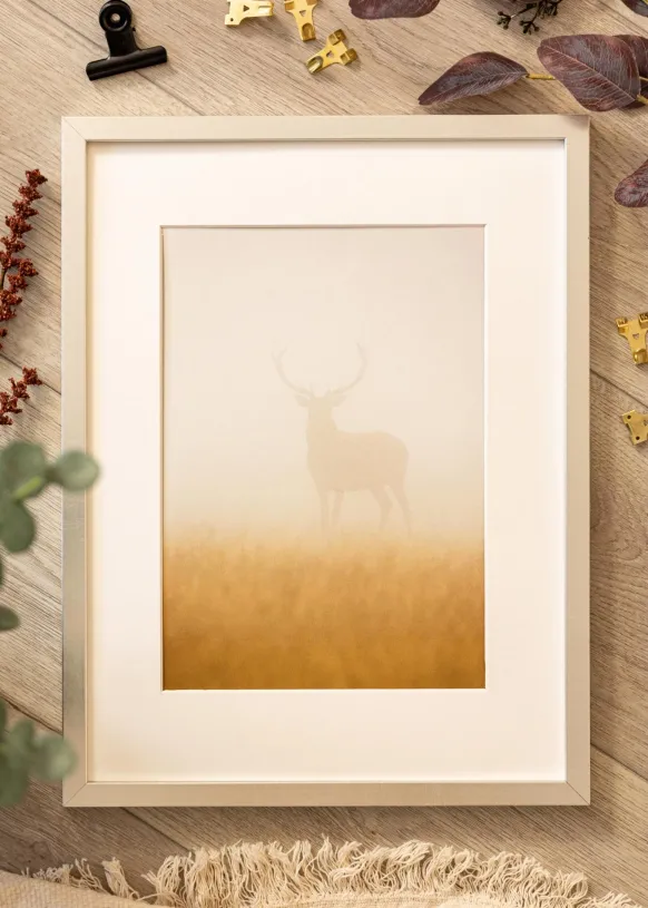 Ram Minerva Silver 50x70 cm