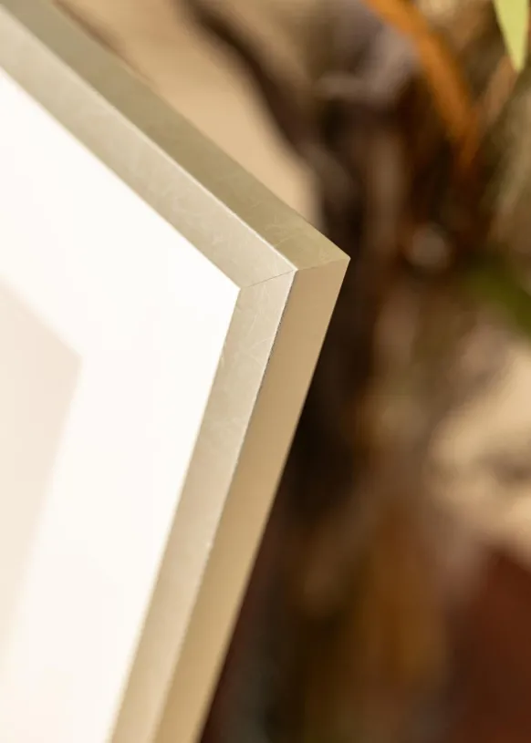 Ram Minerva Silver 40x50 cm - Passepartout Vit 31x41 cm