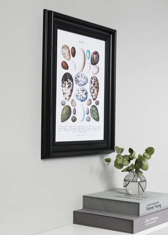 Ram Mora Premium Glas Svart 70x90 cm