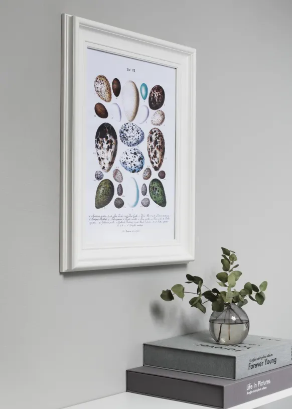 Ram Mora Premium Vit 70x100 cm