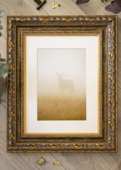 Ram Muskö Guld - Valfri Storlek (Akrylglas)