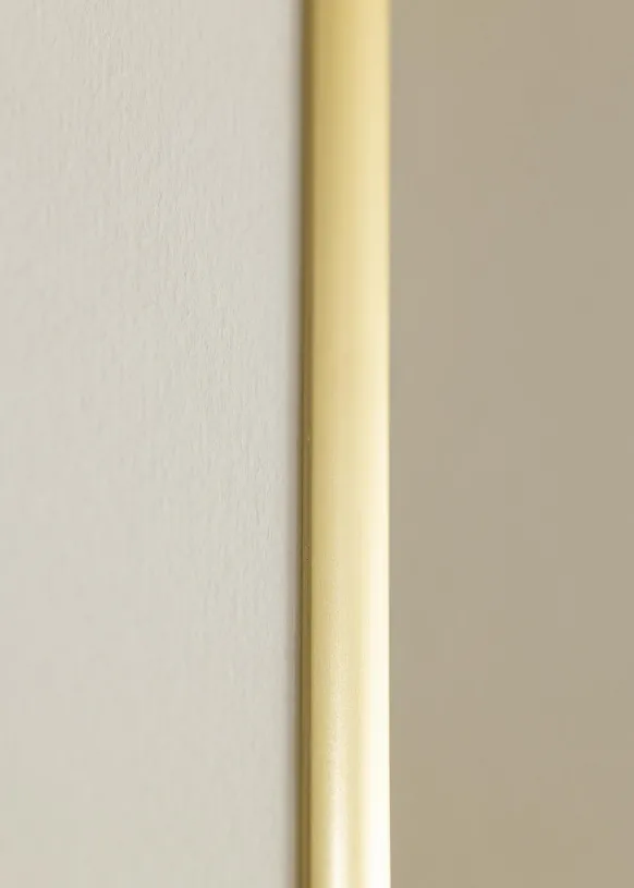 Ram New Lifestyle Guld 20x30 cm