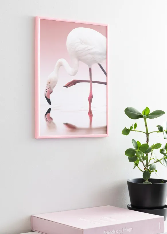 Ram New Lifestyle Rosa 70x100 cm