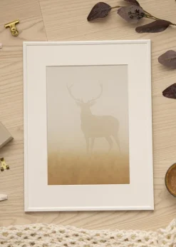 Ram New Lifestyle Vit 40x50 cm