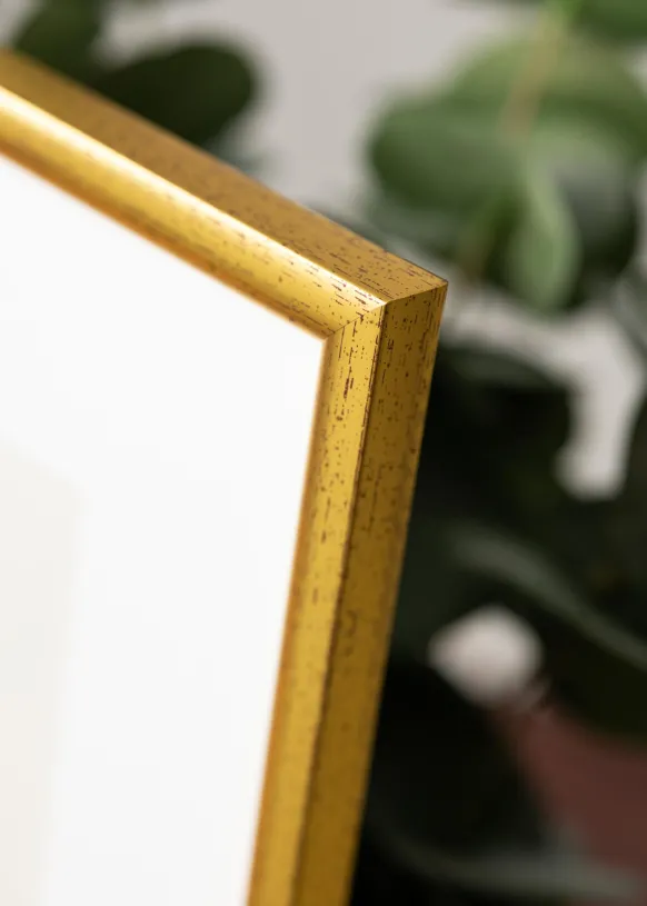 Ram Newline Glas Guld 10x15 cm