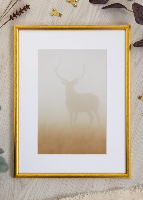 Ram Newline Glas Guld 30x40 cm