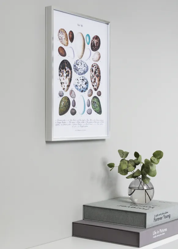 Ram Nielsen Premium Alpha Glas Blank Silver 50x70 cm