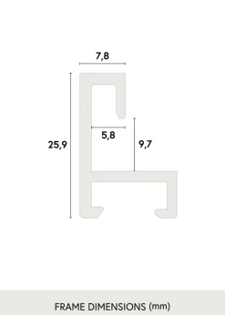 Ram Nielsen Premium Alpha Glas Blank Silver 50x70 cm