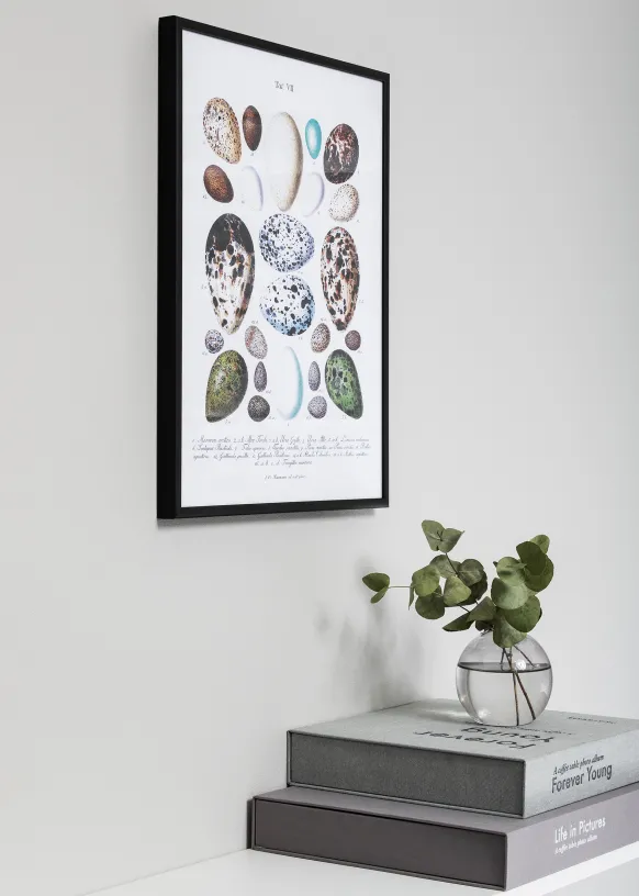 Ram Nielsen Premium Classic Glas Matt Svart 50x60 cm