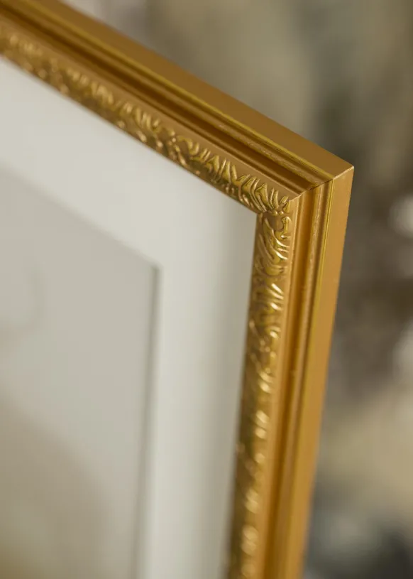 Ram Nostalgia Guld 60x70 cm