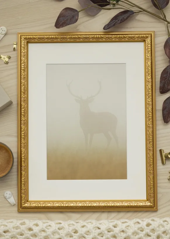 Ram Nostalgia Guld 62x85 cm