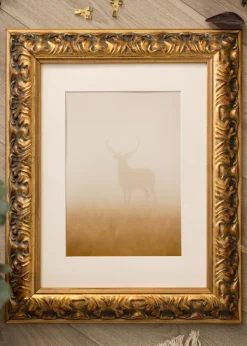 Ram Odin Guld/Röd - Valfri Storlek (Akrylglas)