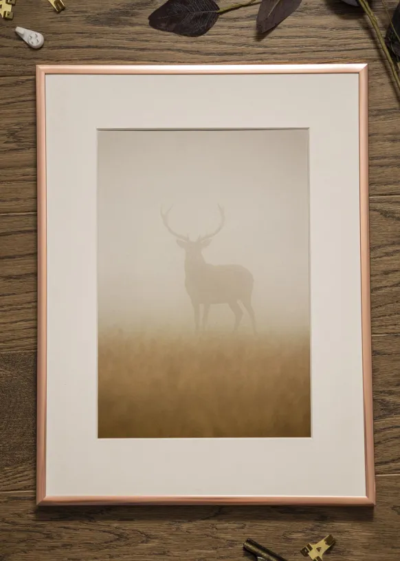 Ram Poster Frame Aluminum Roséguld 70x100 cm