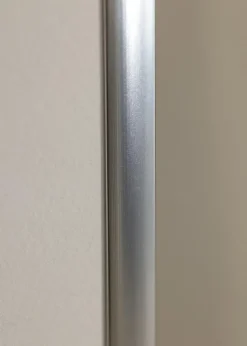 Ram Poster Frame Aluminum Silver 70x100 cm