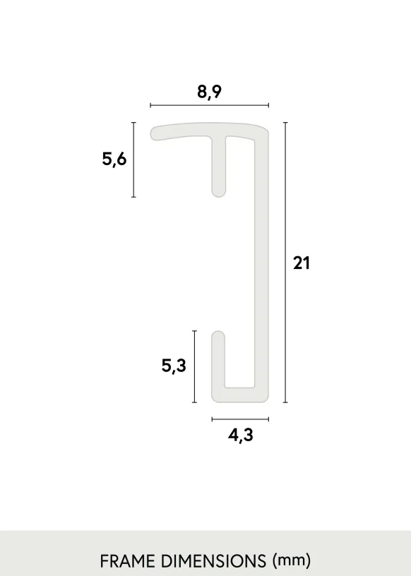 Ram Poster Frame Aluminum Silver 70x100 cm