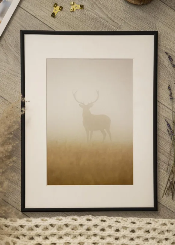 Ram Scandi Matt Svart 58x100 cm