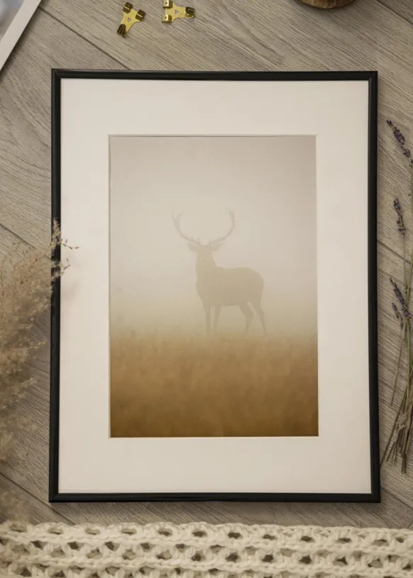 Ram Scandi Svart 50x100 cm