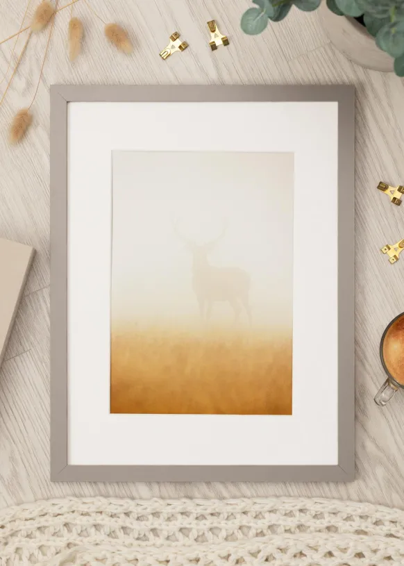 Ram Selection Grey 50x70 cm