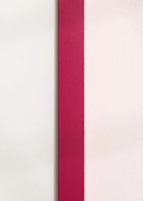 Ram Selection Hot Pink 20x30 cm