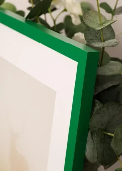 Ram Selection Light Green 40x50 cm - Dubbel Passepartout Vit 29,7x42 cm (A3)