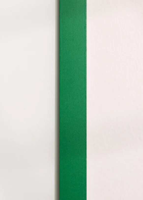 Ram Selection Light Green 40x60 cm