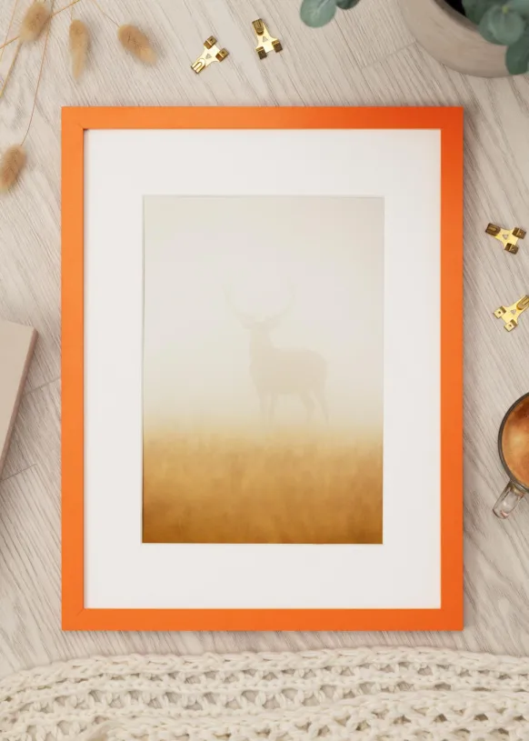 Ram Selection Orange 60x80 cm