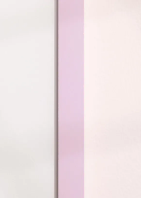 Ram Selection Pink 20x30 cm