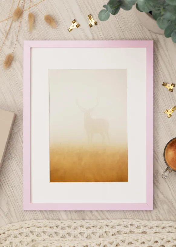 Ram Selection Pink 50x70 cm