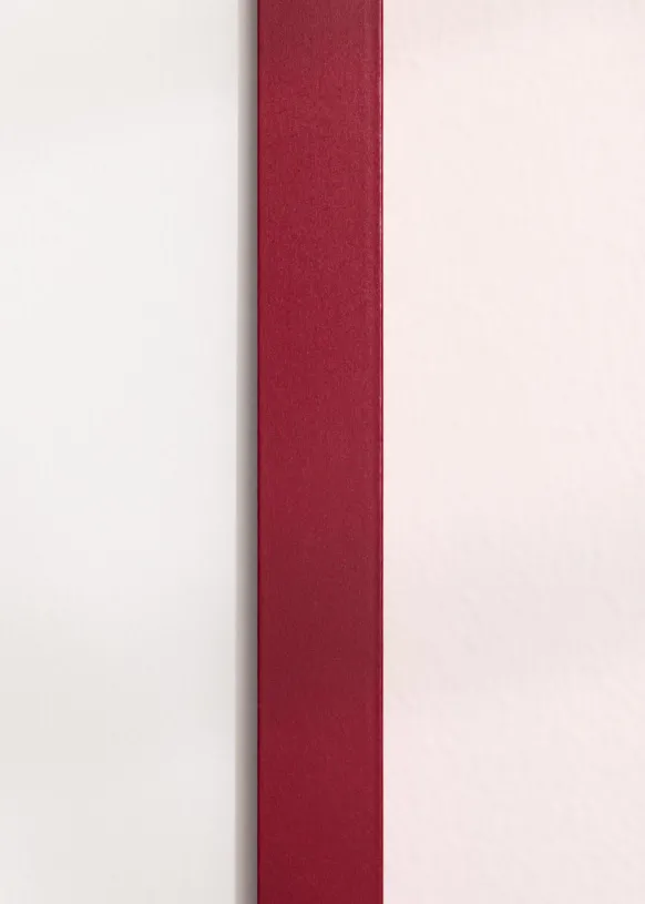 Ram Selection Raspberry 20x30 cm